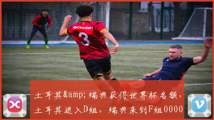 土耳其&瑞典获得世界杯名额，土耳其进入D组，瑞典来到F组0000644