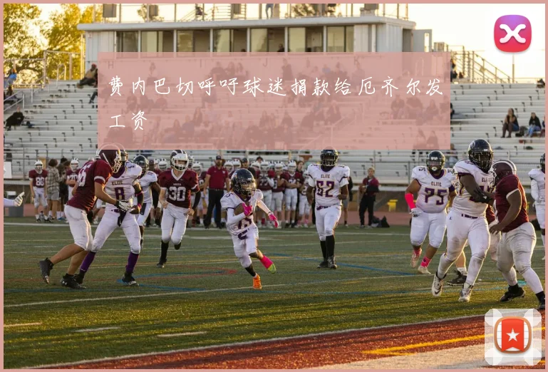 费内巴切呼吁球迷捐款给厄齐尔发工资