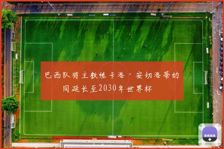 巴西队将主教练卡洛·安切洛蒂的合同延长至2030年世界杯