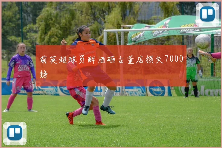 前英超球员醉酒砸古董店损失7000镑