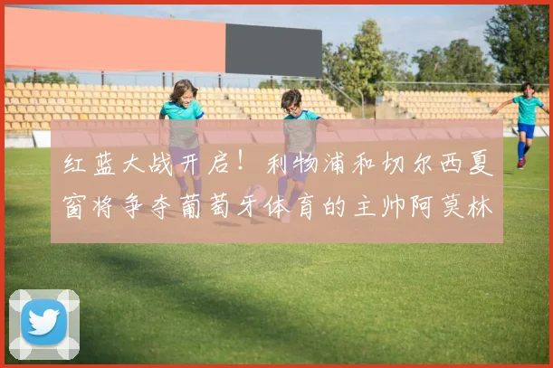 红蓝大战开启！利物浦和切尔西夏窗将争夺葡萄牙体育的主帅阿莫林