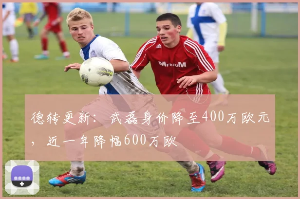 德转更新：武磊身价降至400万欧元，近一年降幅600万欧