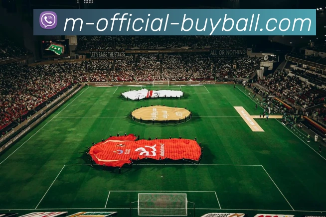 世界杯买球网站平台生态图